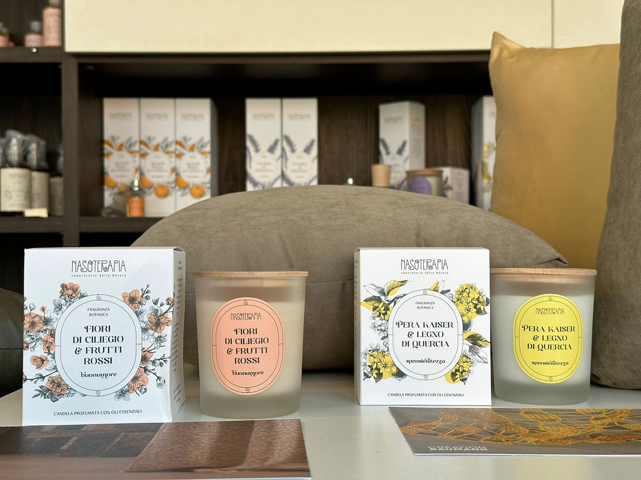 WhatsApp Image 2026-03-20 at 11.46_02