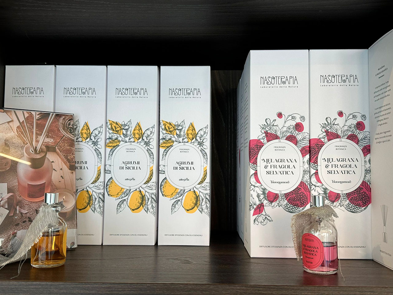 WhatsApp Image 2026-03-20 at 11.46_07